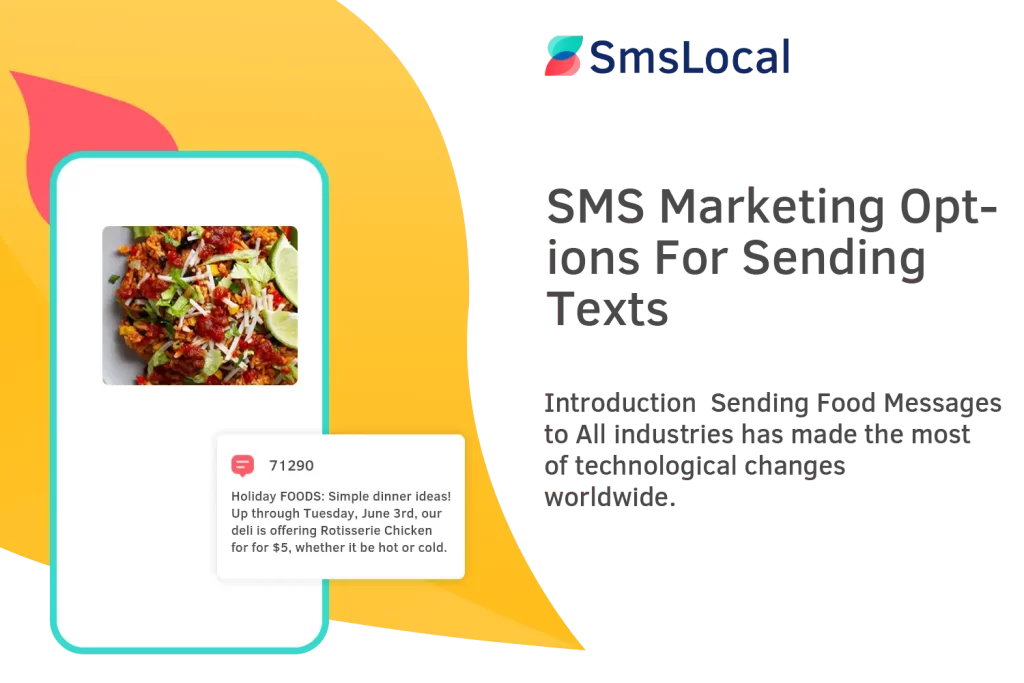 SMS-Marketing-Options-For-Sending-Texts (1)