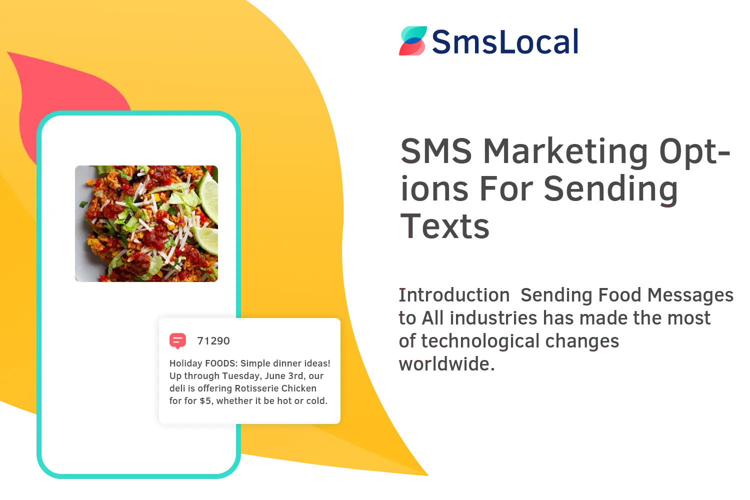 SMS-Marketing-Options-For-Sending-Texts (1)