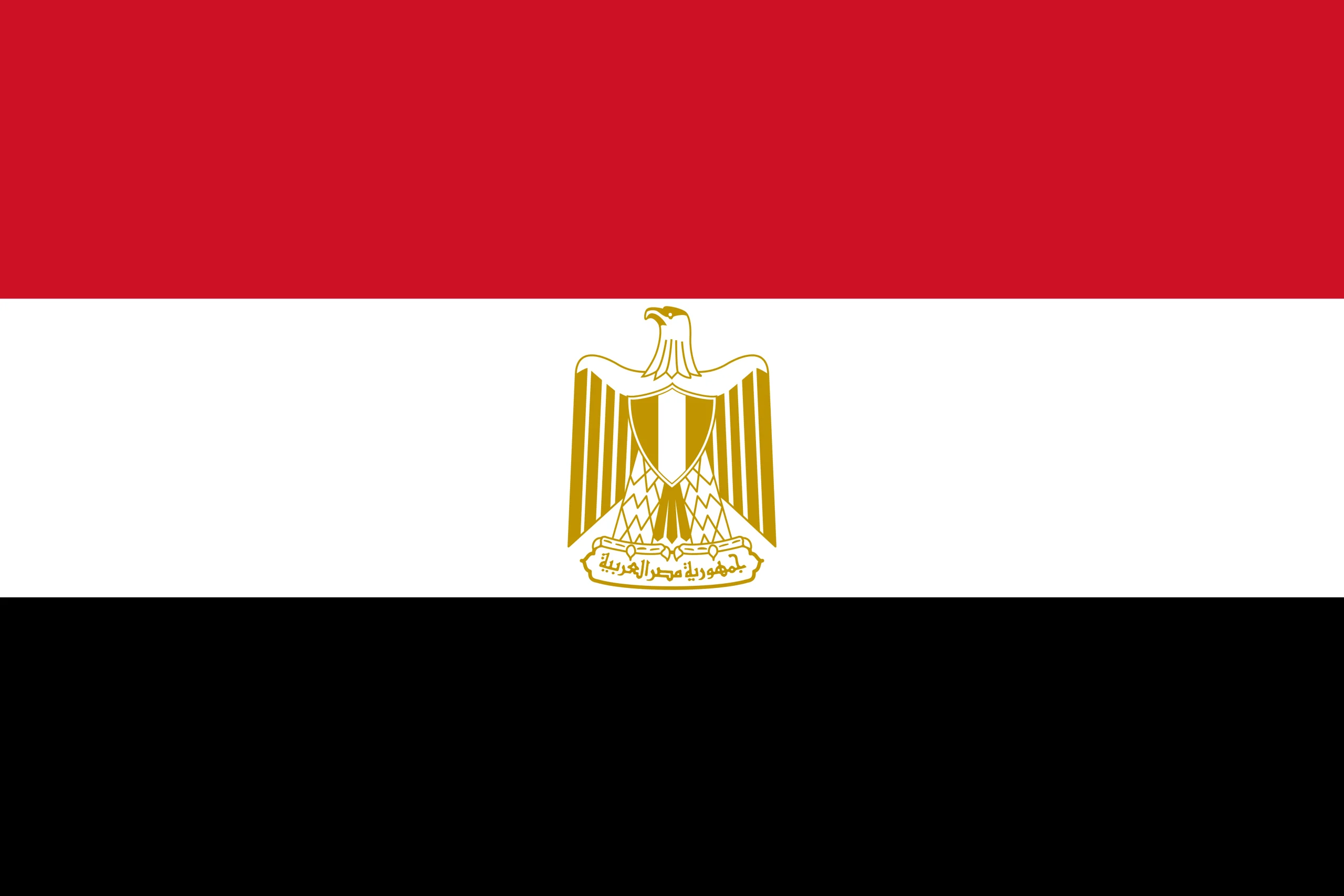 Bulk SMS Egypt