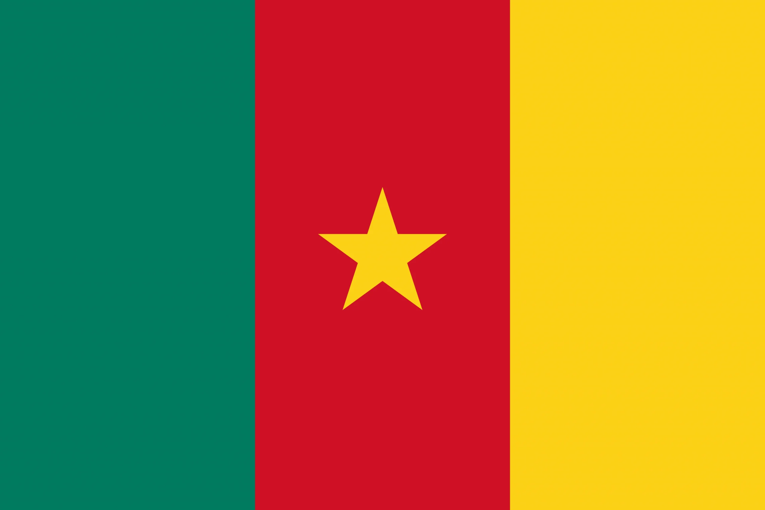 Bulk Sms Cameroon