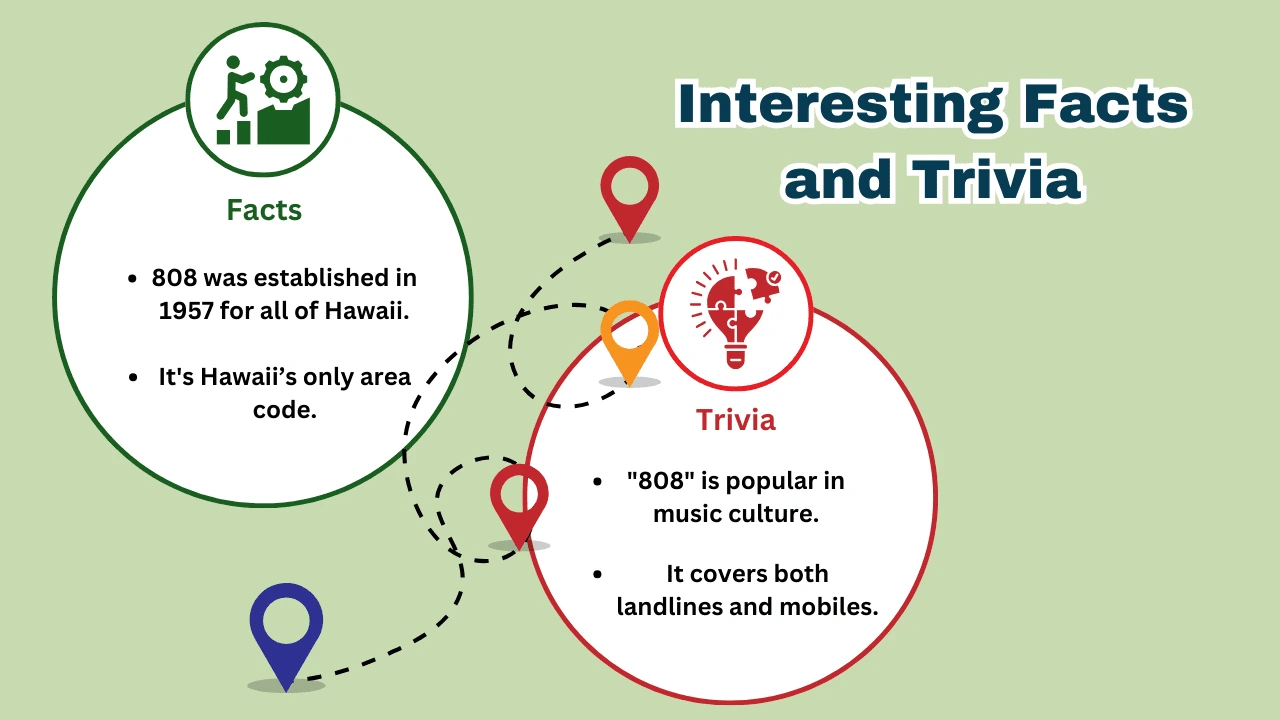 Interesting Facts and Trivia