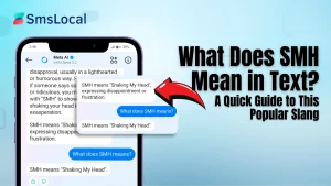 What Does SMH Mean in Text_ A Quick Guide to This Popular Slang