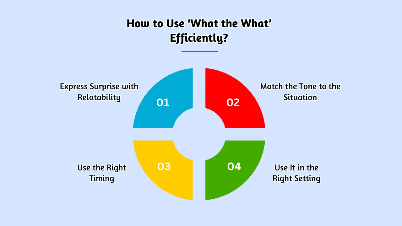 How to Use ‘What the What’ Efficiently